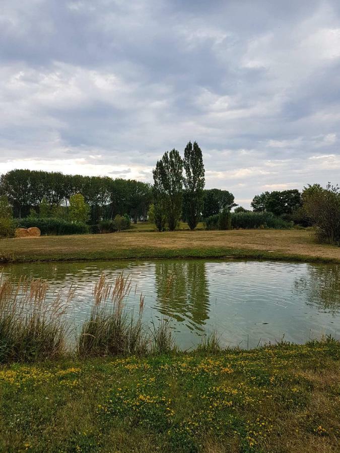Eliza 1 Birdland Golf Apartman Bük 외부 사진